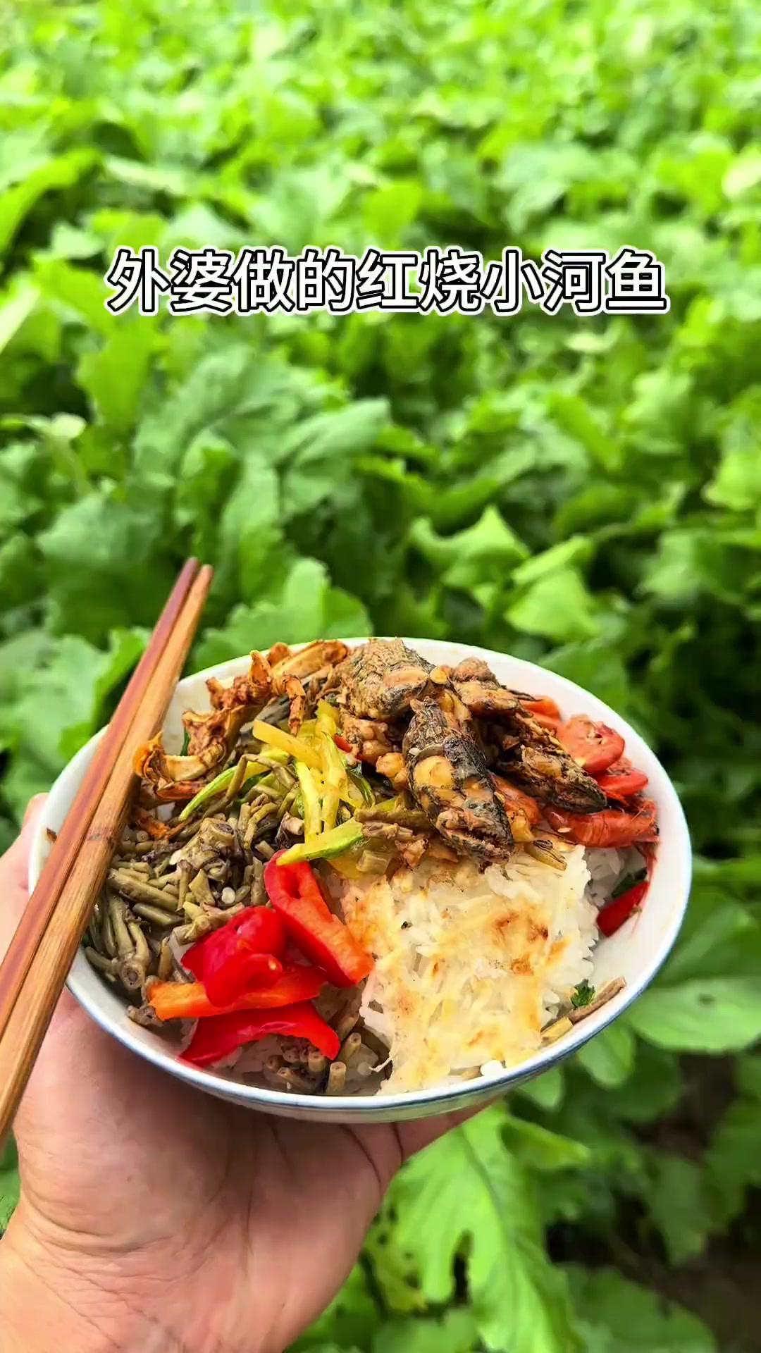 在我们老家的河里有很多小鱼小虾，特别美味