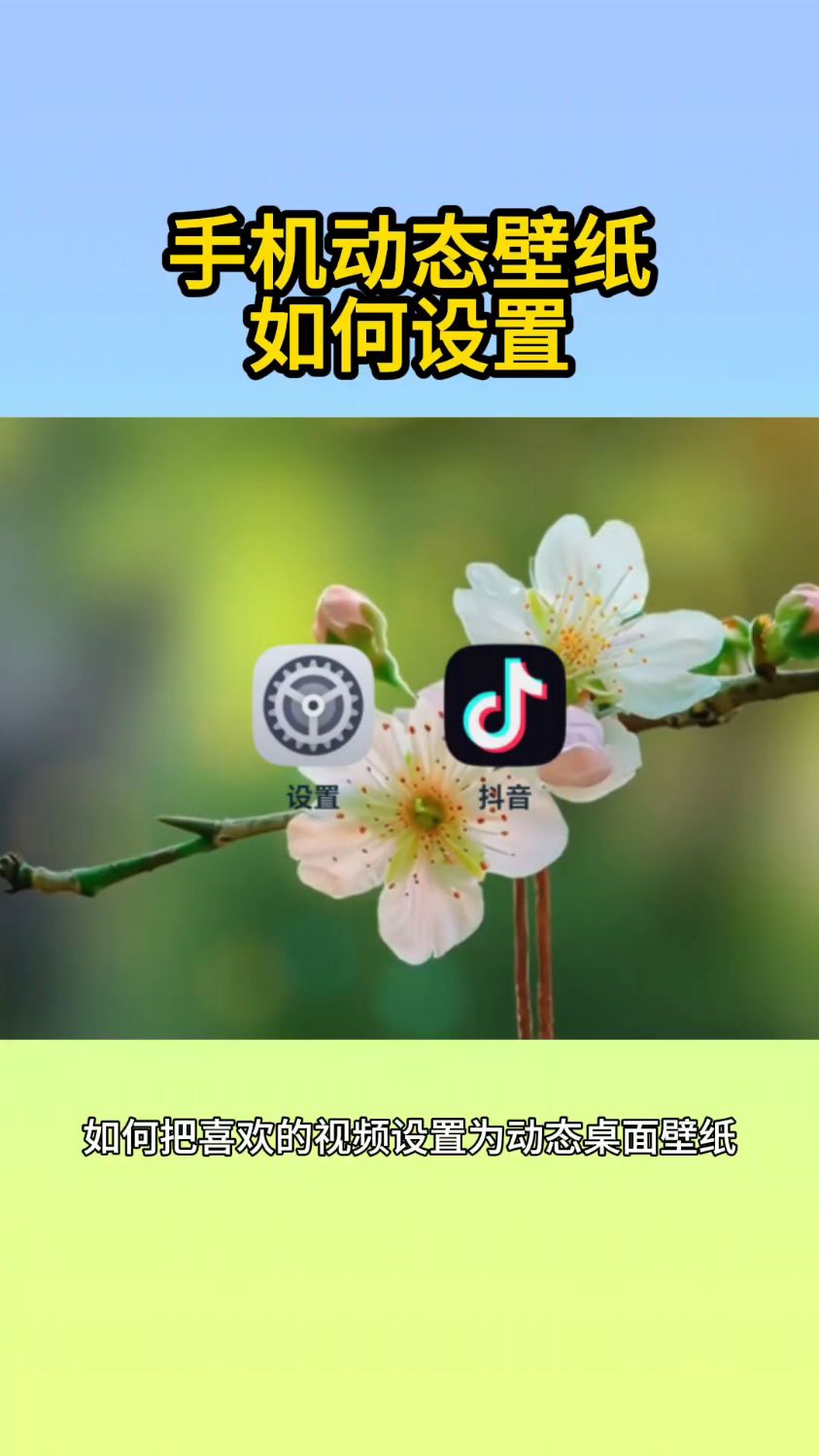 手机动态壁纸如何设置？