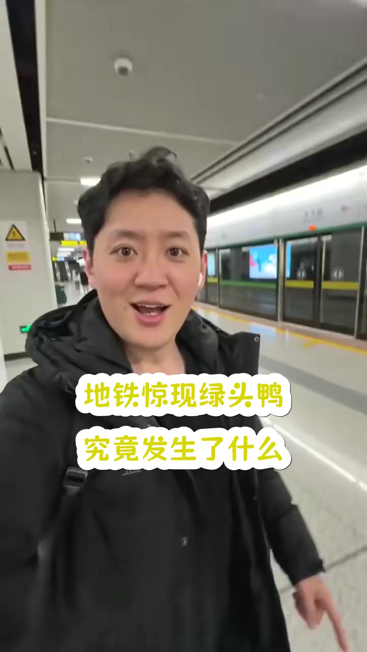 地铁惊现绿头鸭，究竟发生了什么？