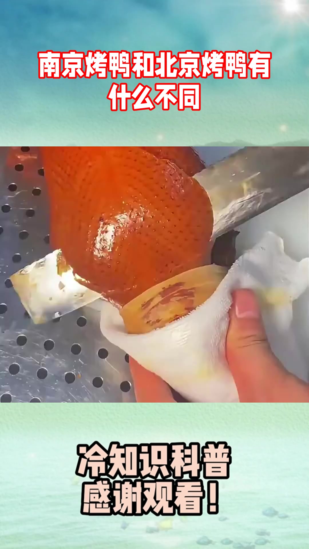 南京烤鸭和北京烤鸭有什么不同？