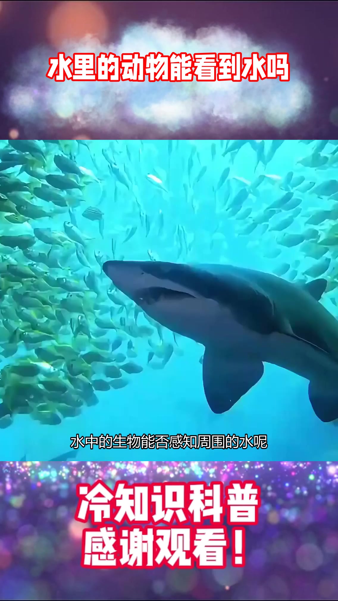 水里的动物能看到水吗？就像人看不见空气