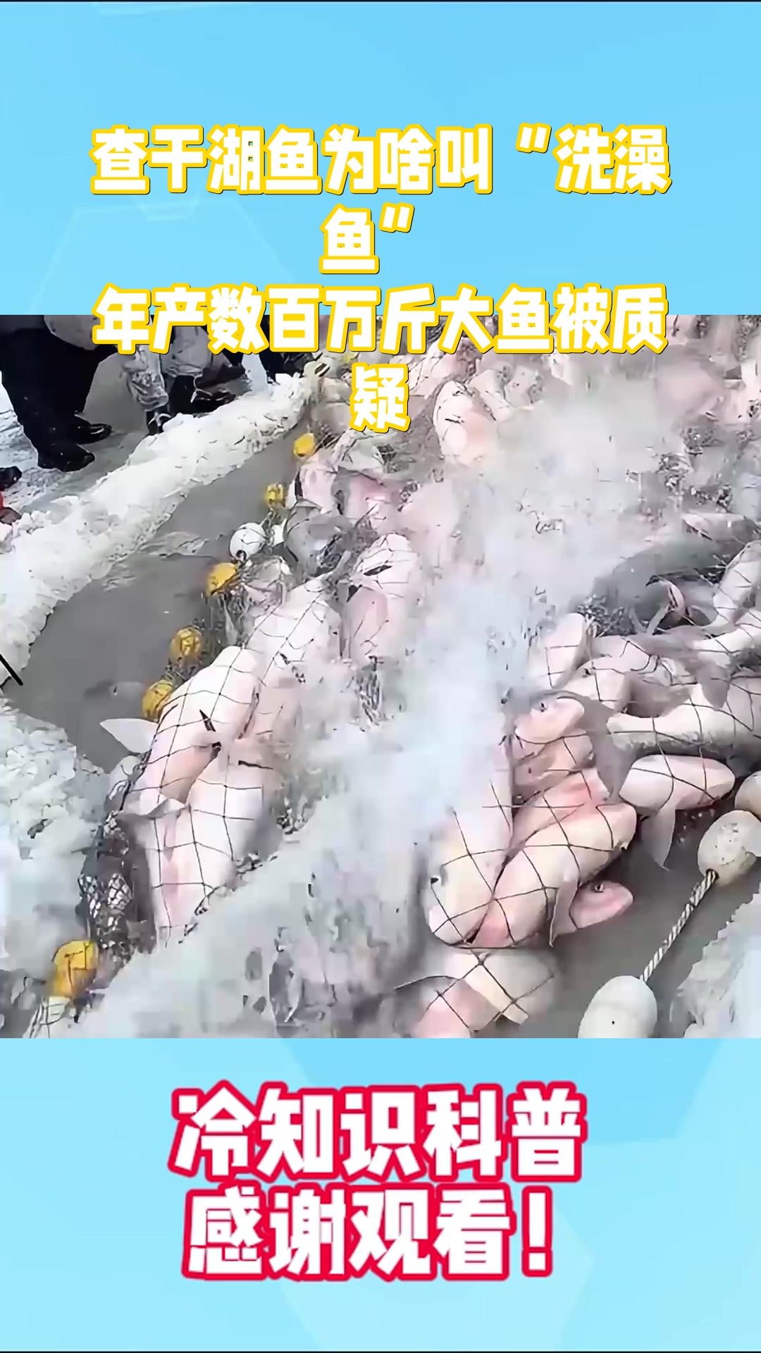 查干湖鱼为啥叫“洗澡鱼”？年产数百万斤大鱼被质疑
