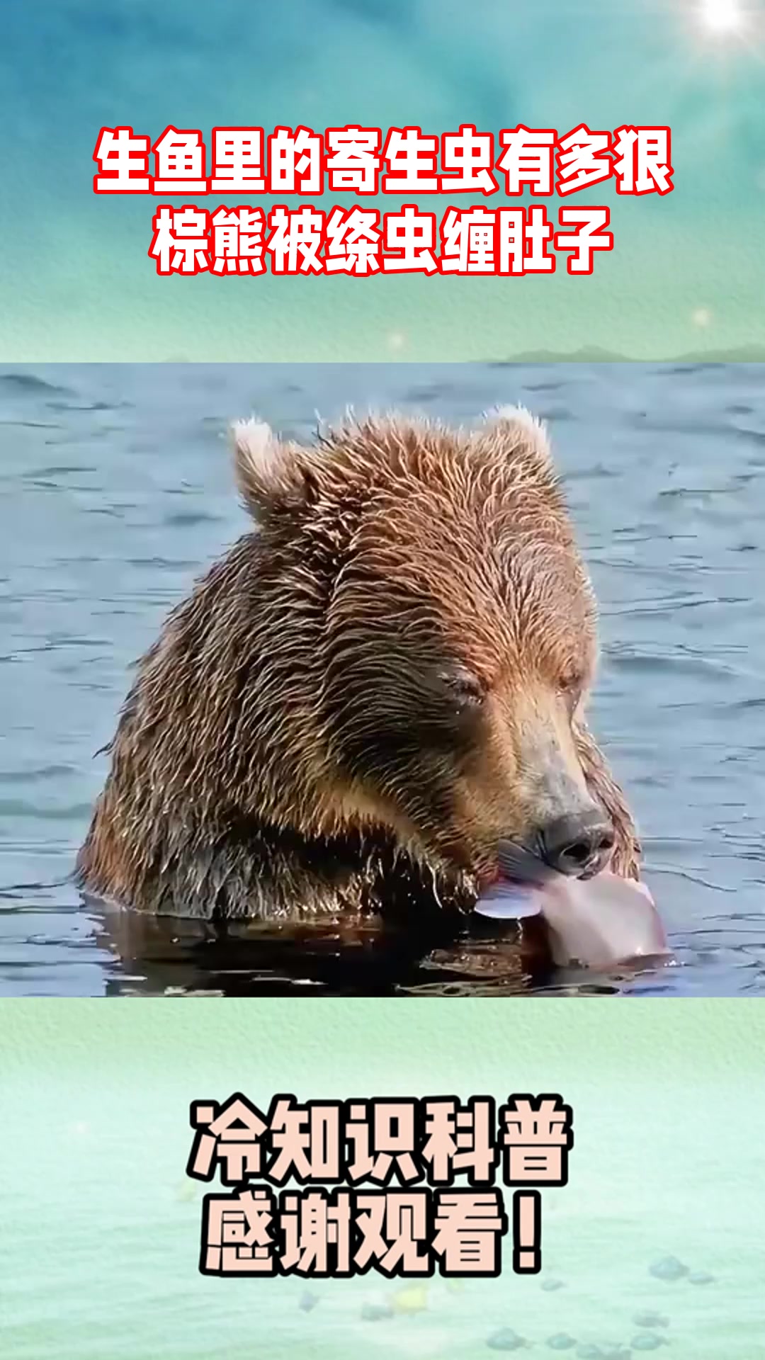 生鱼里的寄生虫有多狠？棕熊被绦虫缠肚子