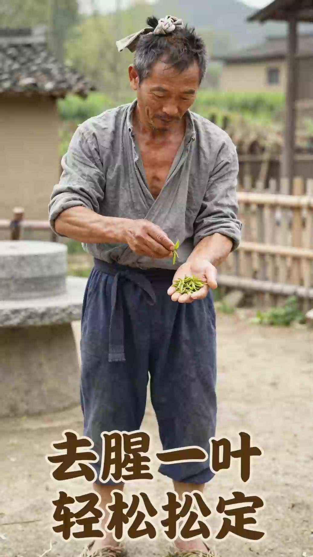 古人怎么去除手上鱼腥味？搓一下这种叶！