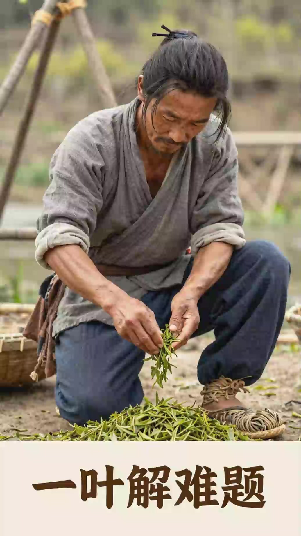 《古人怎么去除手上鱼腥味？搓一下这种叶》