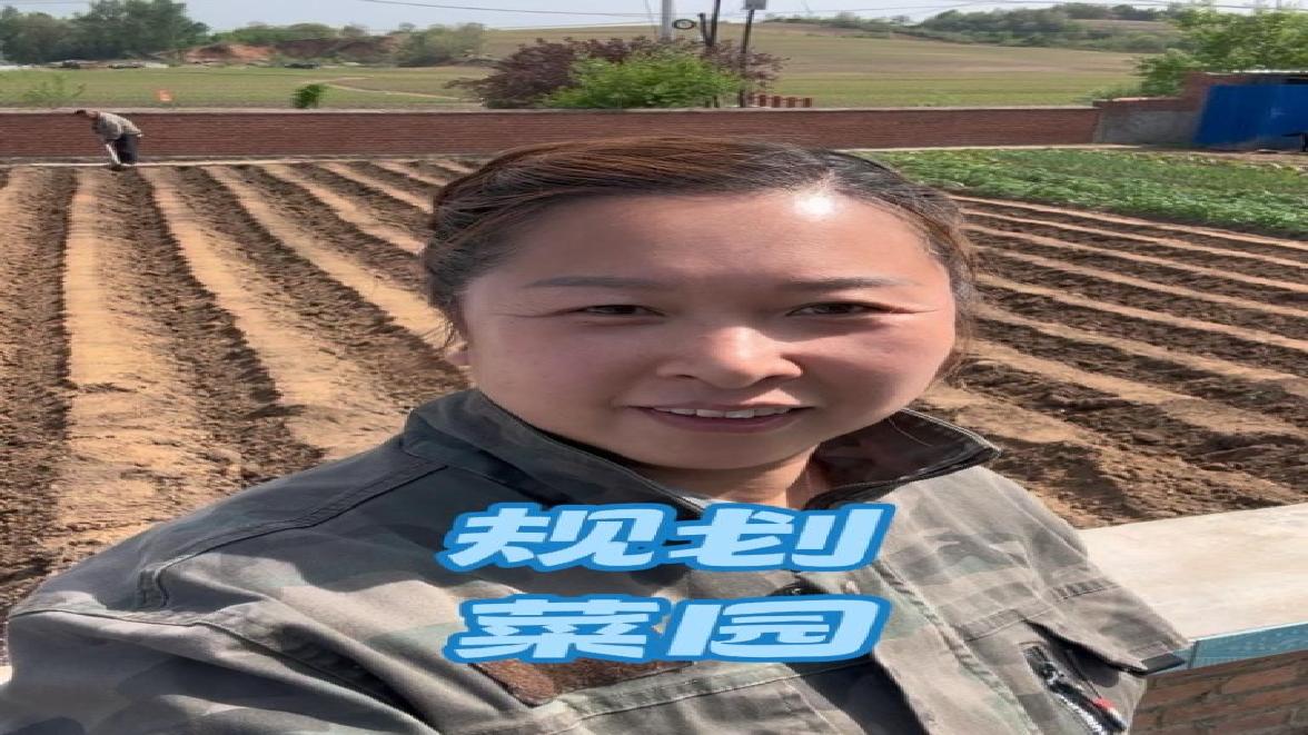 菜园怎样种合理，得好好规划一下