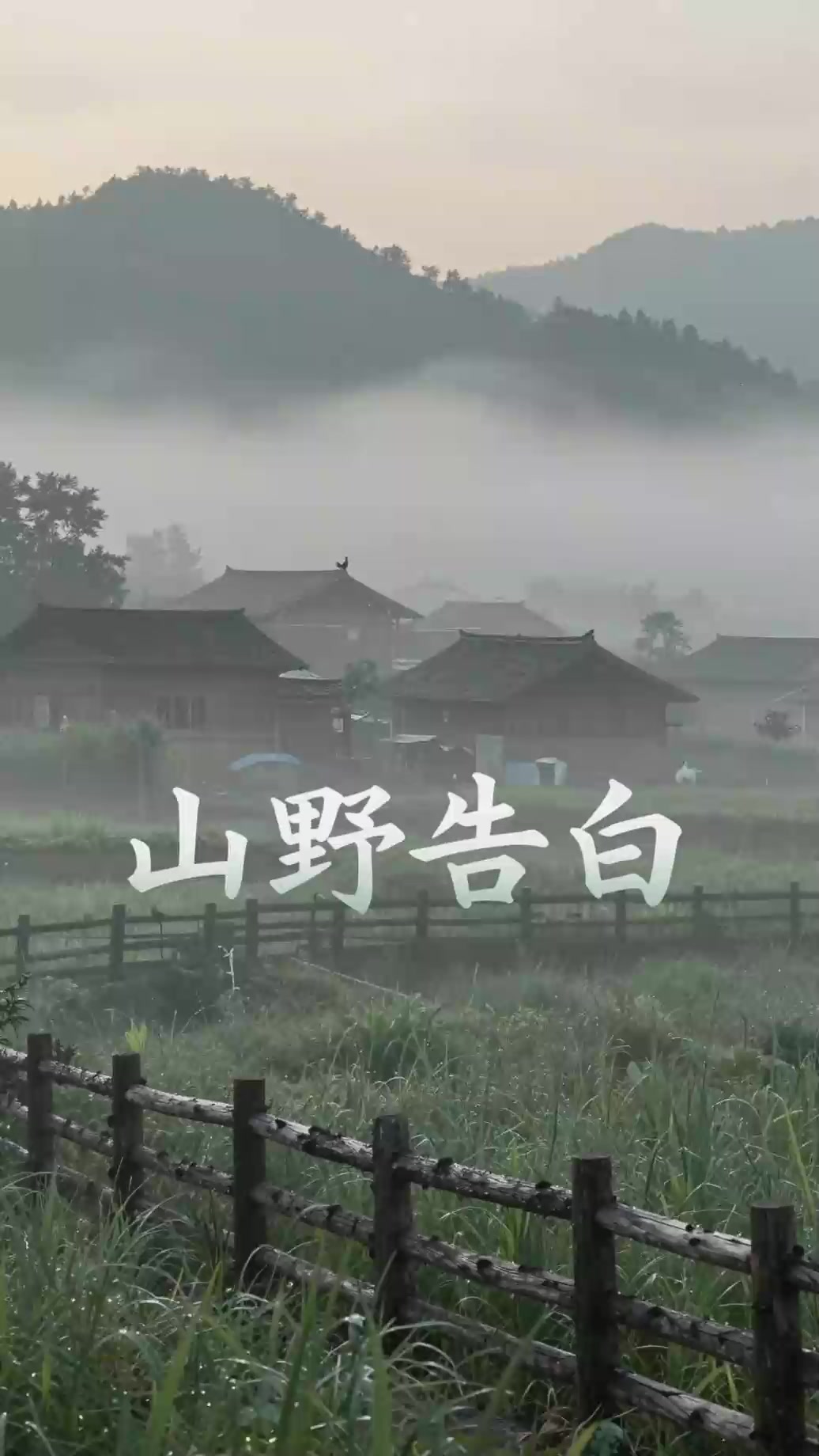 山村晨雾鸡鸣伴风声,山野清晨原生态声景
