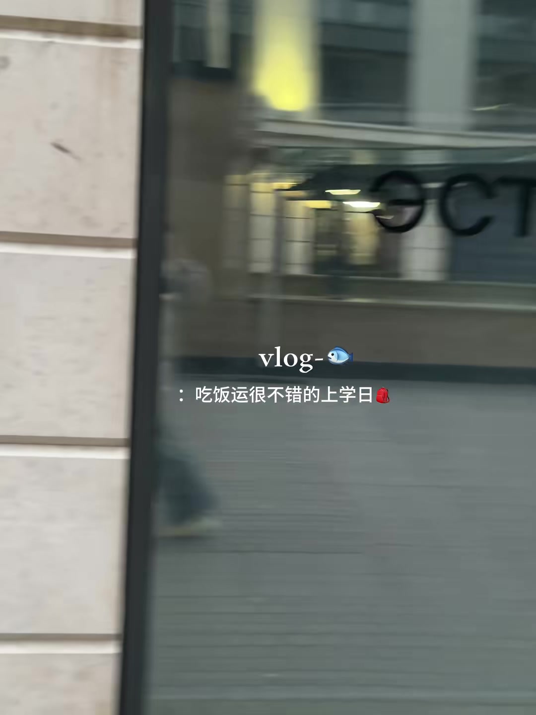 Vlog｜熏鸡 不好意思了 我还是更爱这个鲷鱼烧