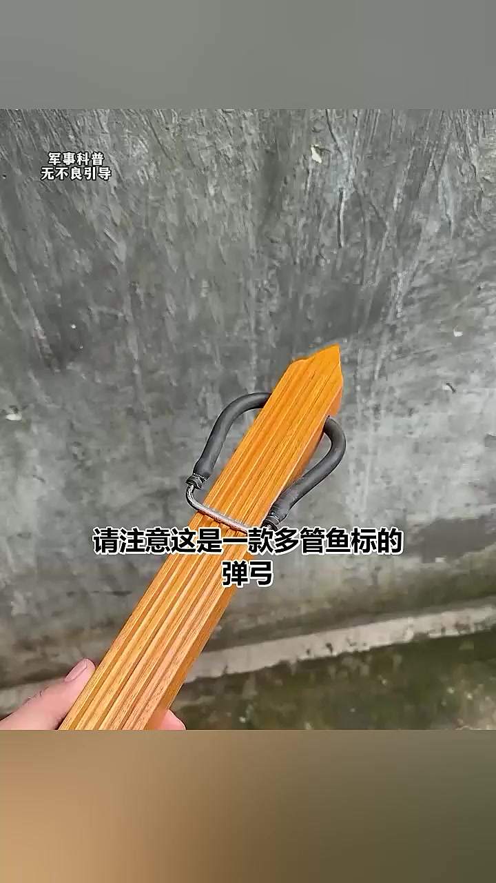 哈哈哈多管鱼镖弹弓