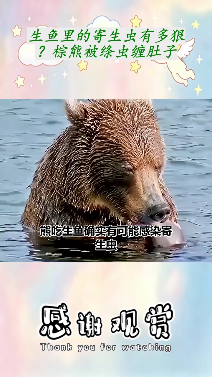 生鱼里的寄生虫有多狠？棕熊被绦虫缠肚子