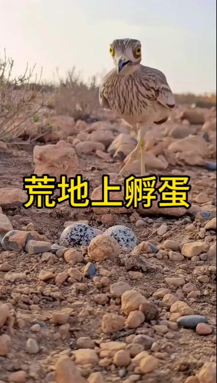 被热的张大嘴巴