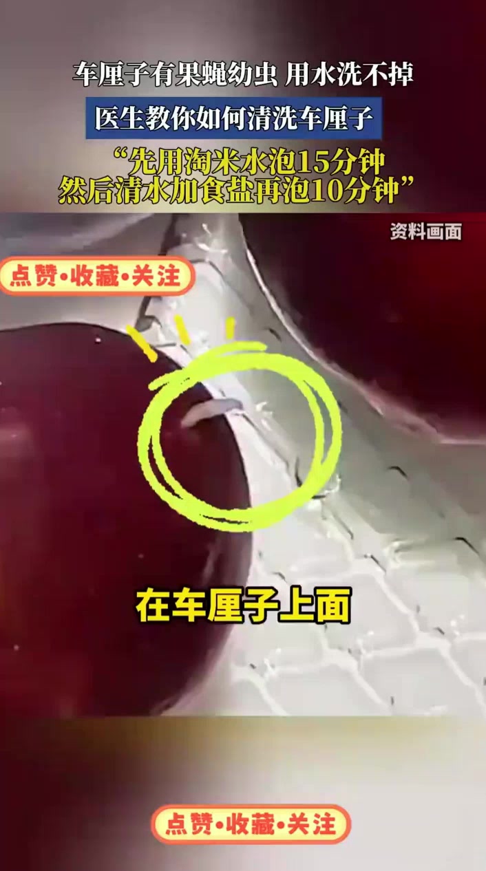 车厘子有果蝇幼虫，用水洗不掉？医生教你如何清洗车厘子