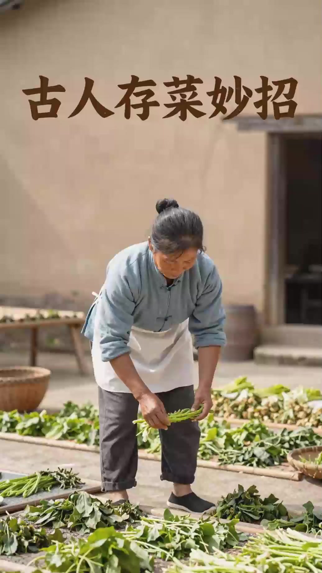 古代怎么保存蔬菜？做成梅干菜，炖肉香飘十里！