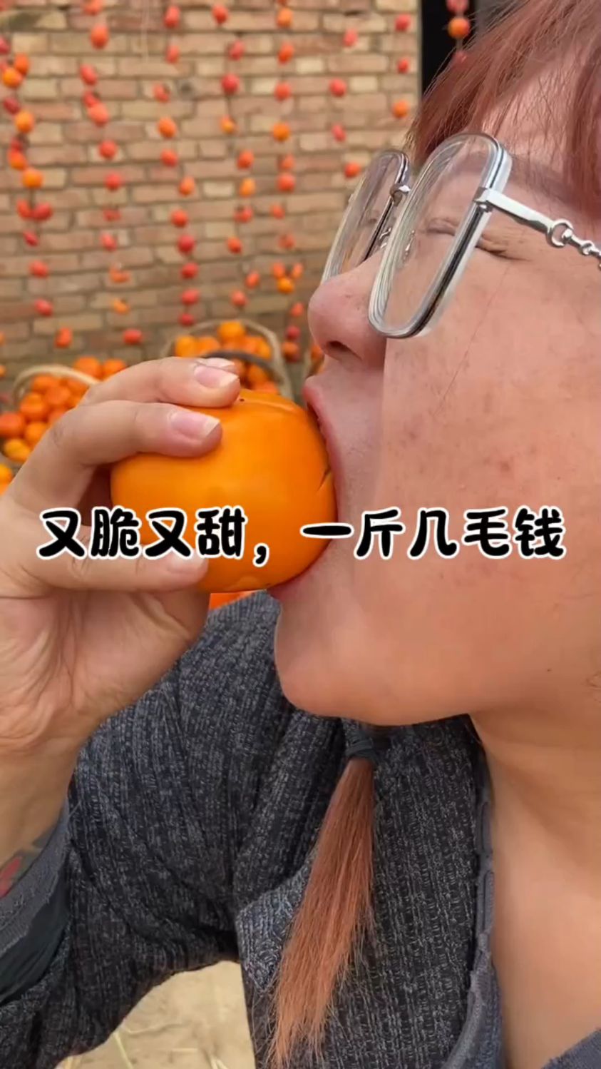 高端巧克力脆柿,几毛一斤,满满福利