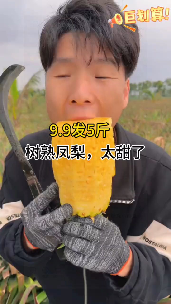 凤梨不是菠萝,不用泡盐水,自然熟,非常甜