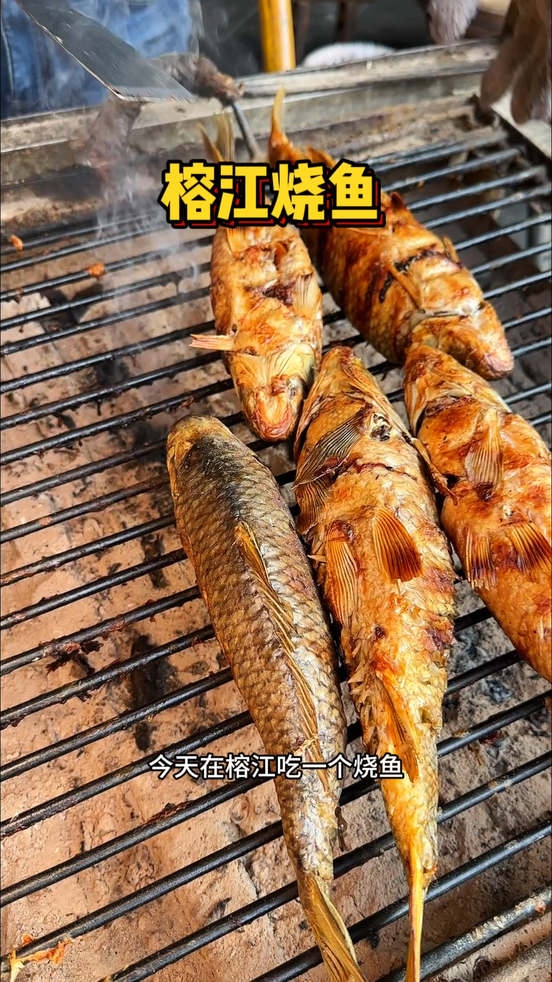 榕江街头的烧鱼，活鱼现烤