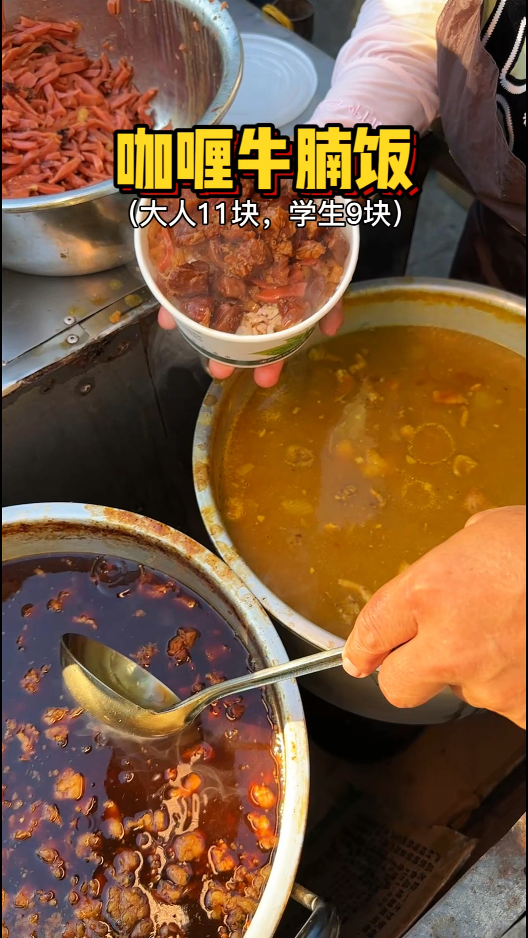 海南街头的咖喱牛腩饭,大人11块学生9块