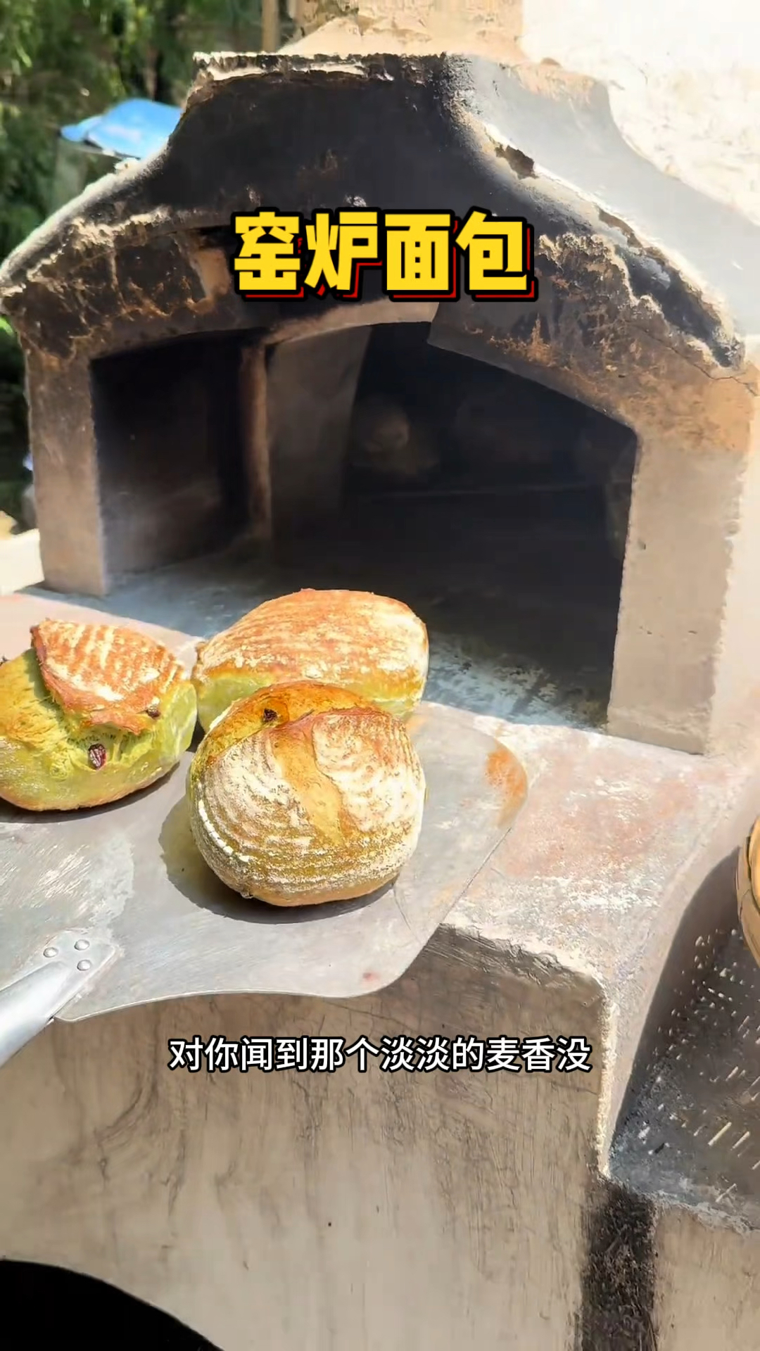 窑炉烤的面包是要好吃点啊