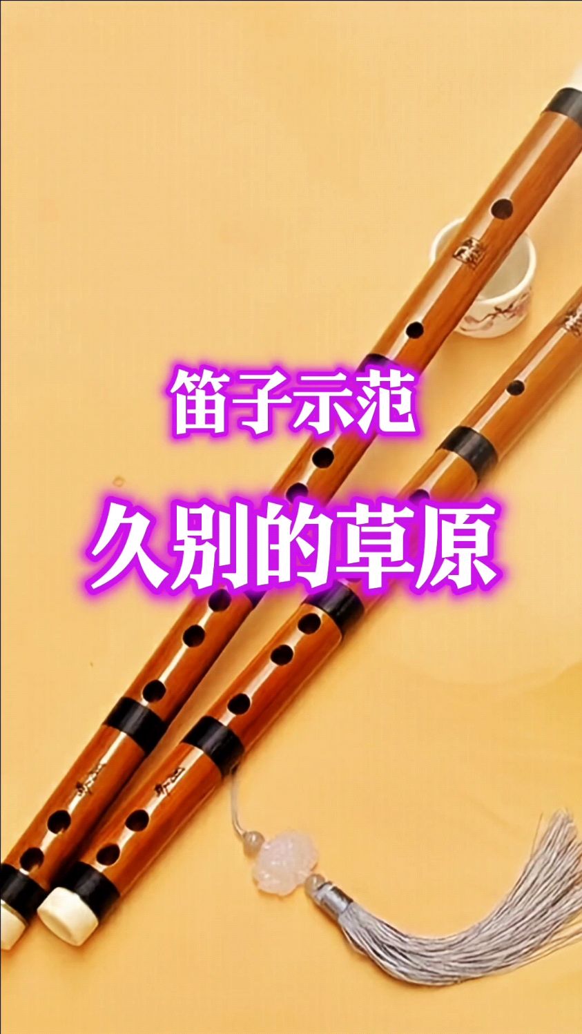 《久别的草原》笛子动态曲谱示范