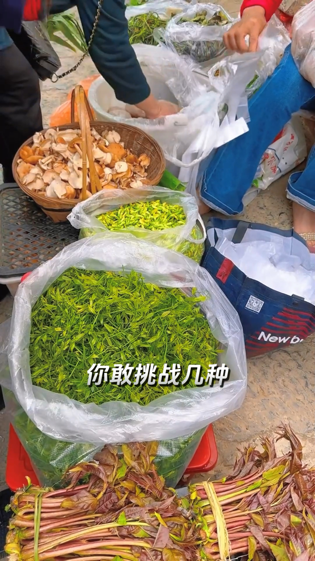 可惜你不是云南人,不知道云南的野菜野花比吃肉还香