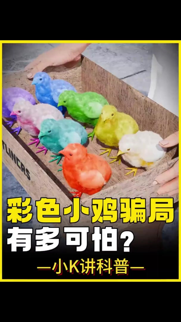 染色小鸡是骗局，恐惧实验揭示心理阴影