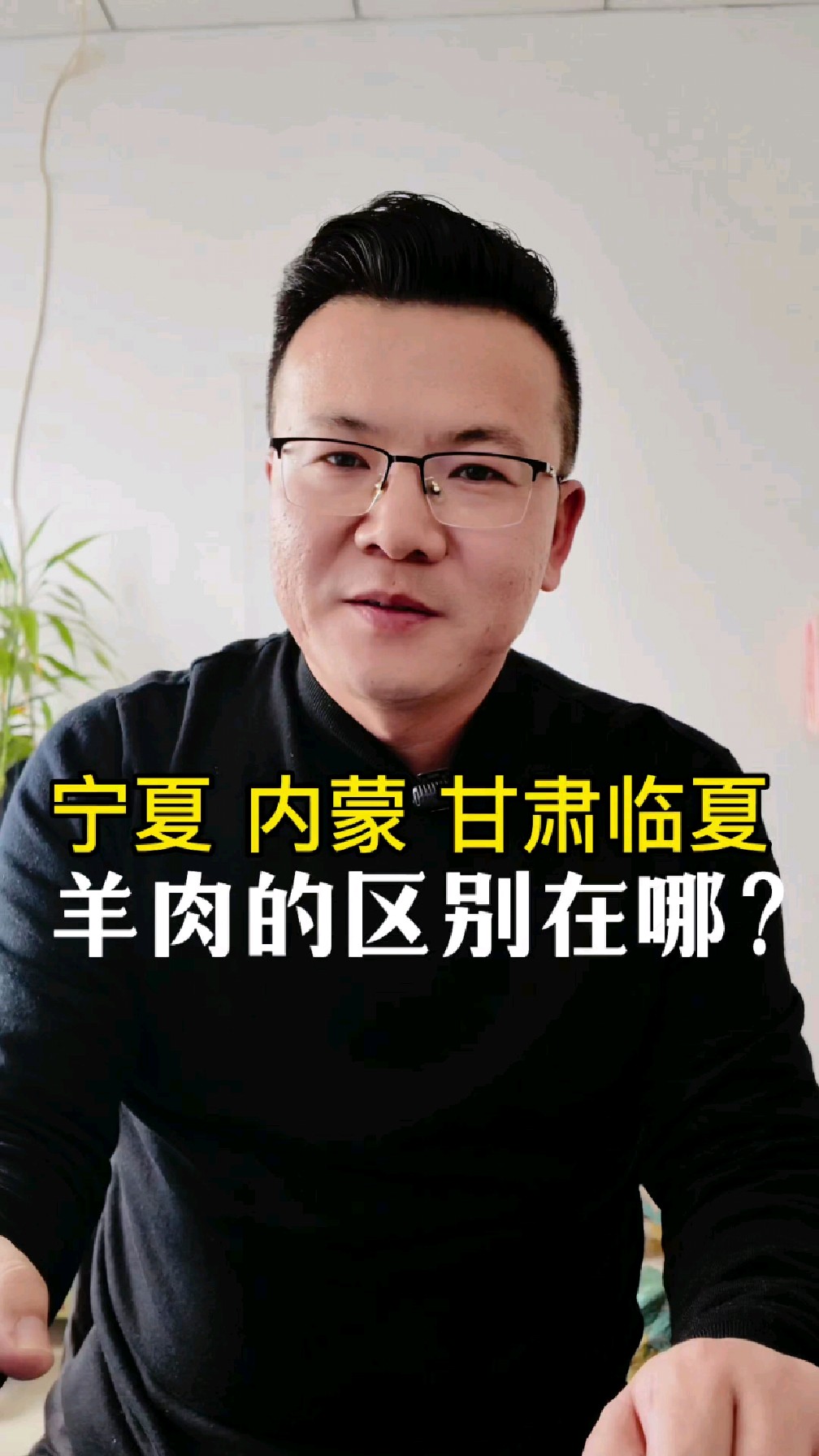 宁夏、内蒙、甘肃临夏的羊肉区别在哪,哪儿的羊肉最好吃?