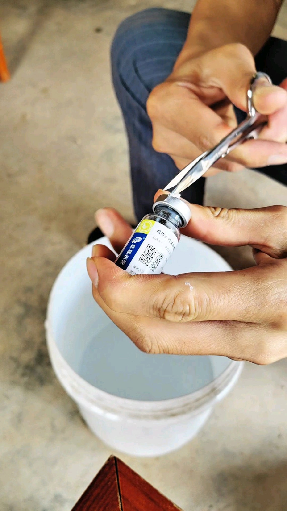 小鸡育雏第14天,怎样给小鸡接种疫苗?