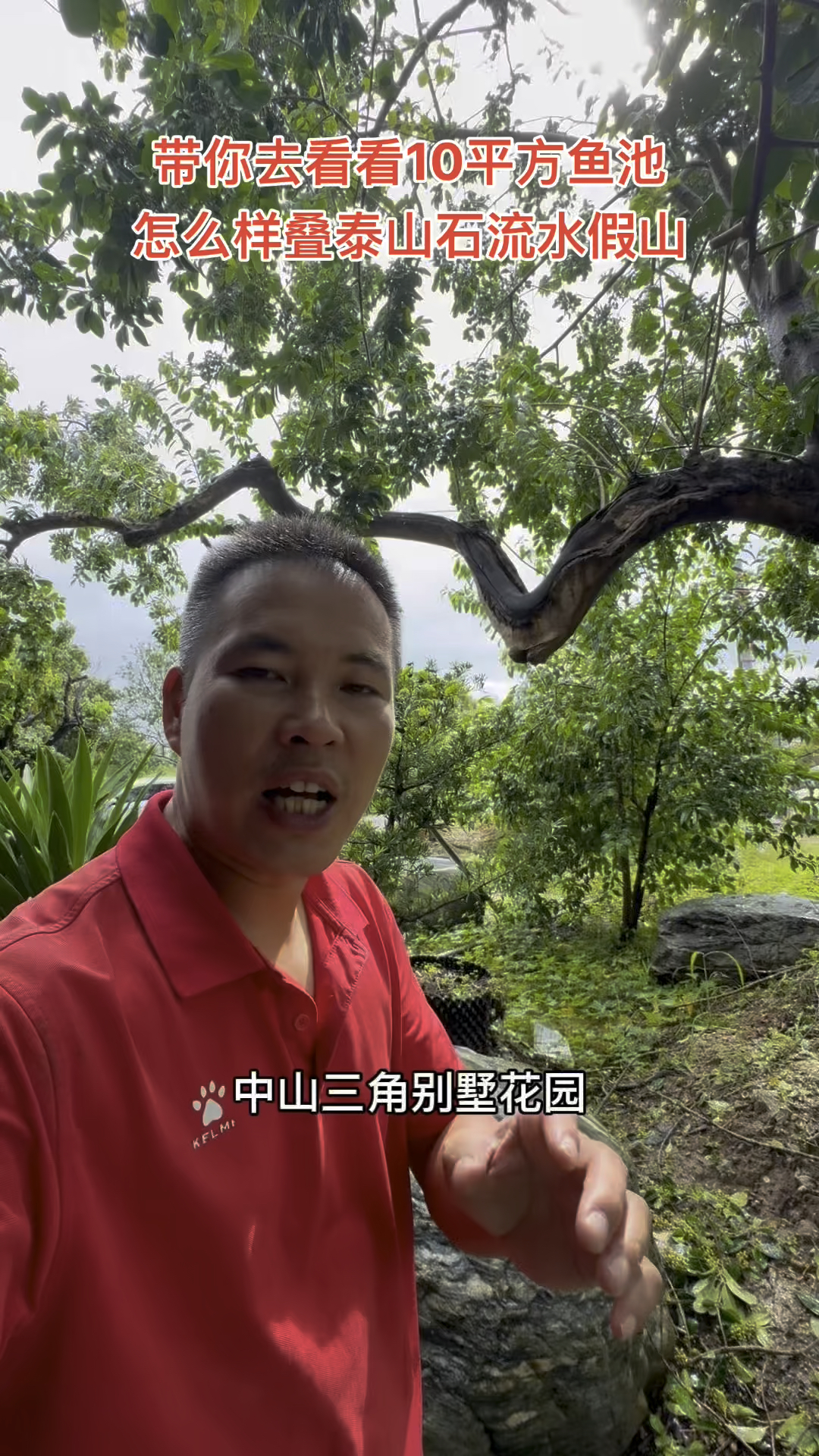 #广东中山鱼池假山,看看老板的10平方鱼池,怎么样两天搞定的