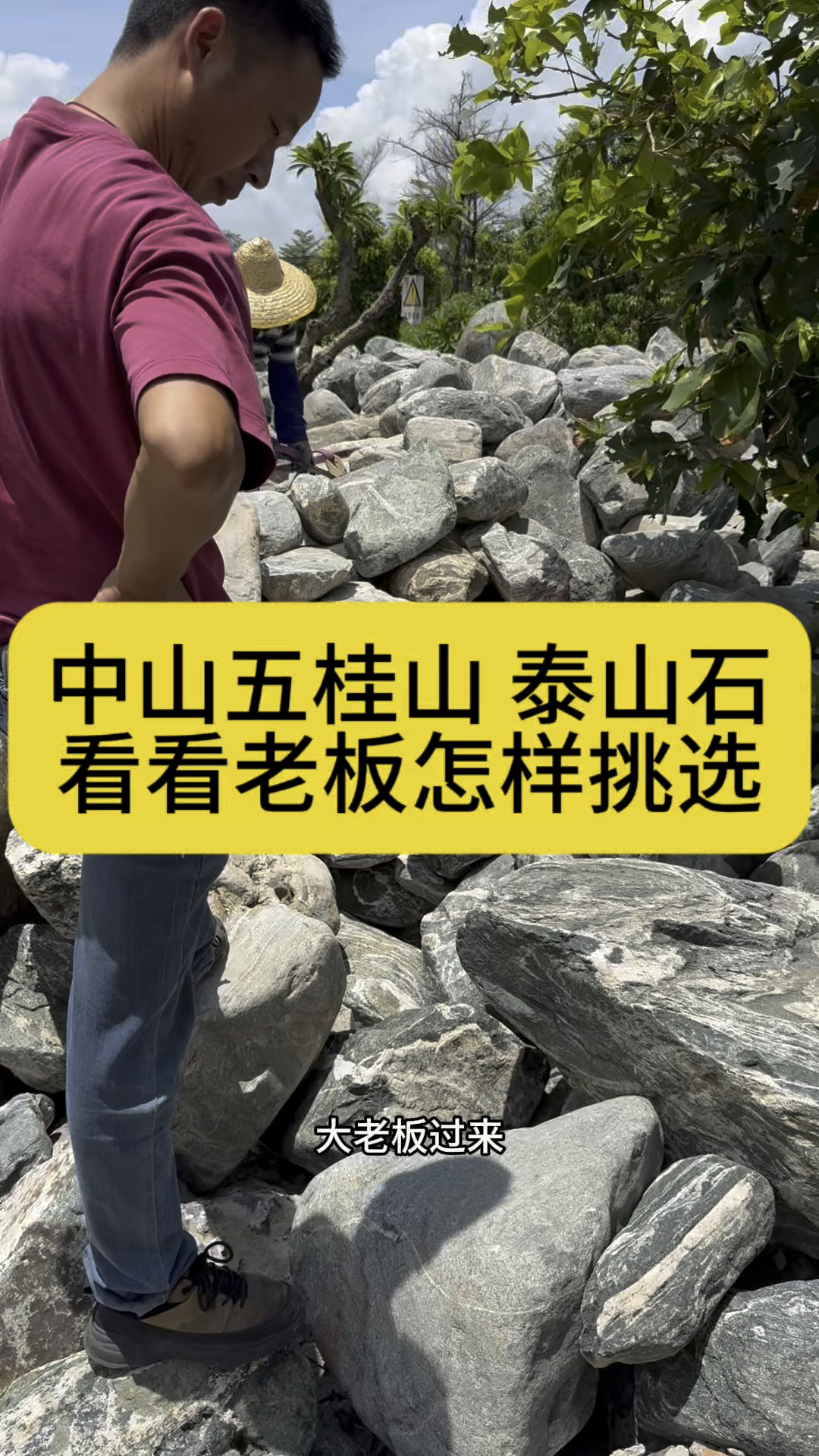 中山五桂山看看老板选的,园林景观石,是怎么样子的?