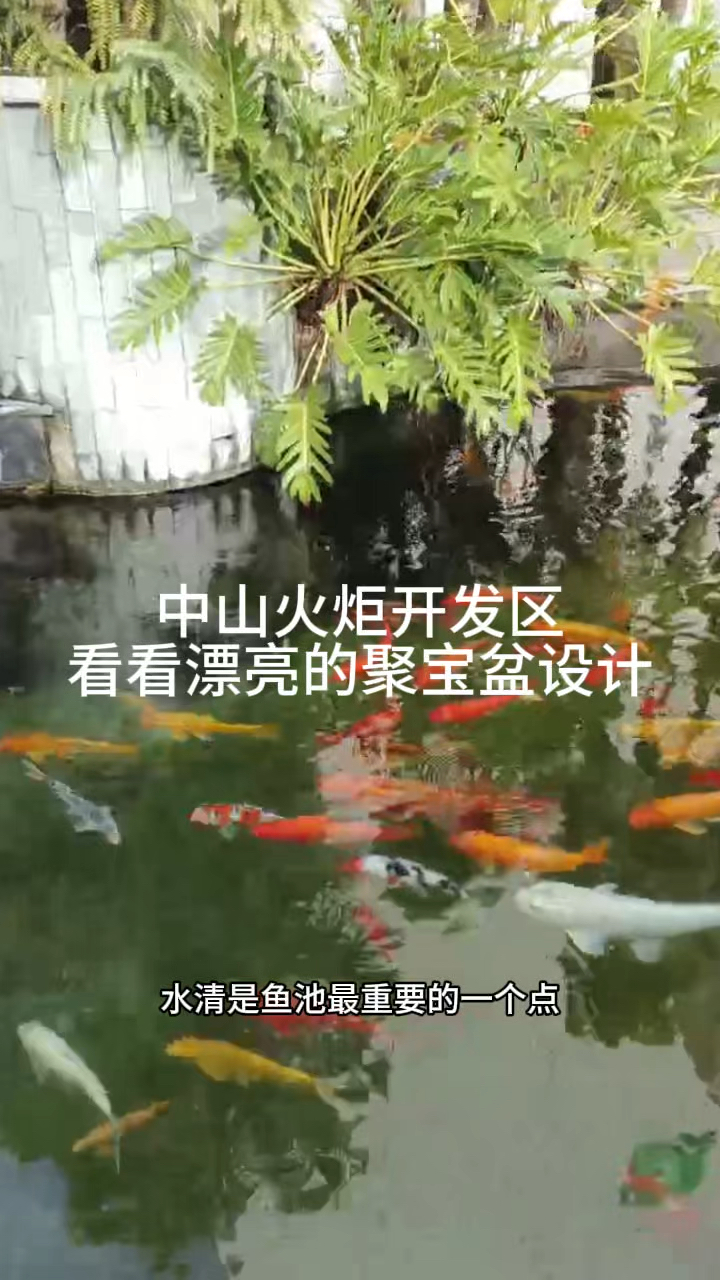 中山火炬开发区 看看漂亮的聚宝盆设计#庭院鱼池 #假山流水 #鱼池
