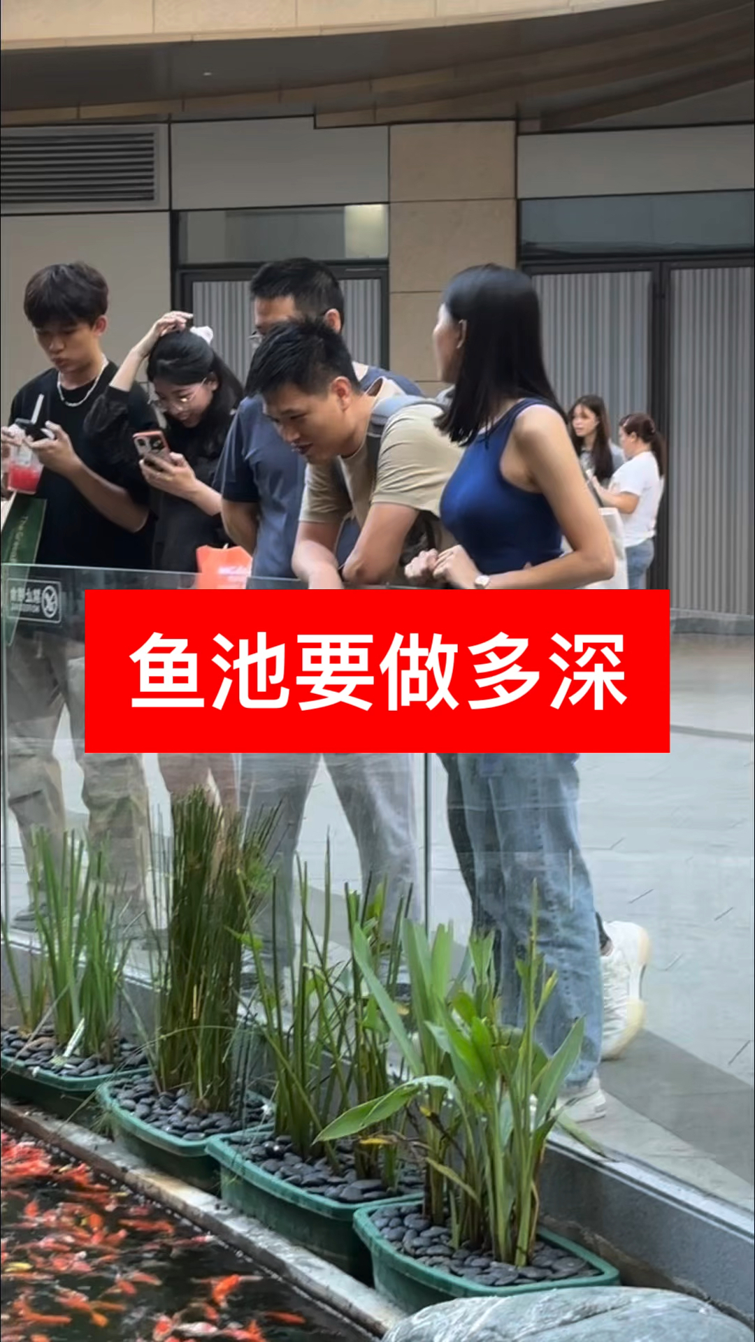 #中山别墅花园鱼池要做多深#鱼池设计施工 #鱼池过滤系统