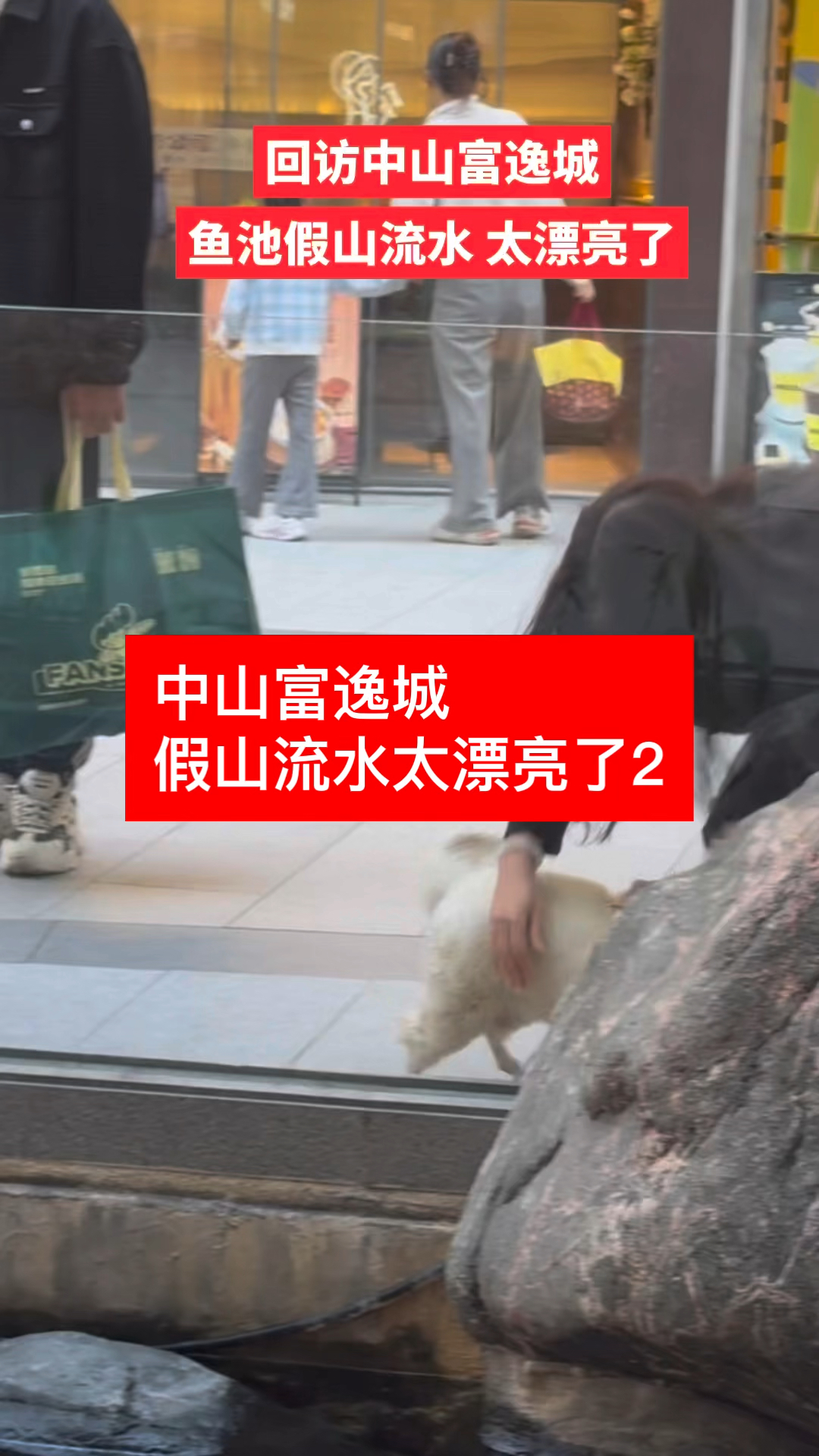 第二节 #中山富逸城一年前的鱼池流水 太漂亮了#鱼池假山