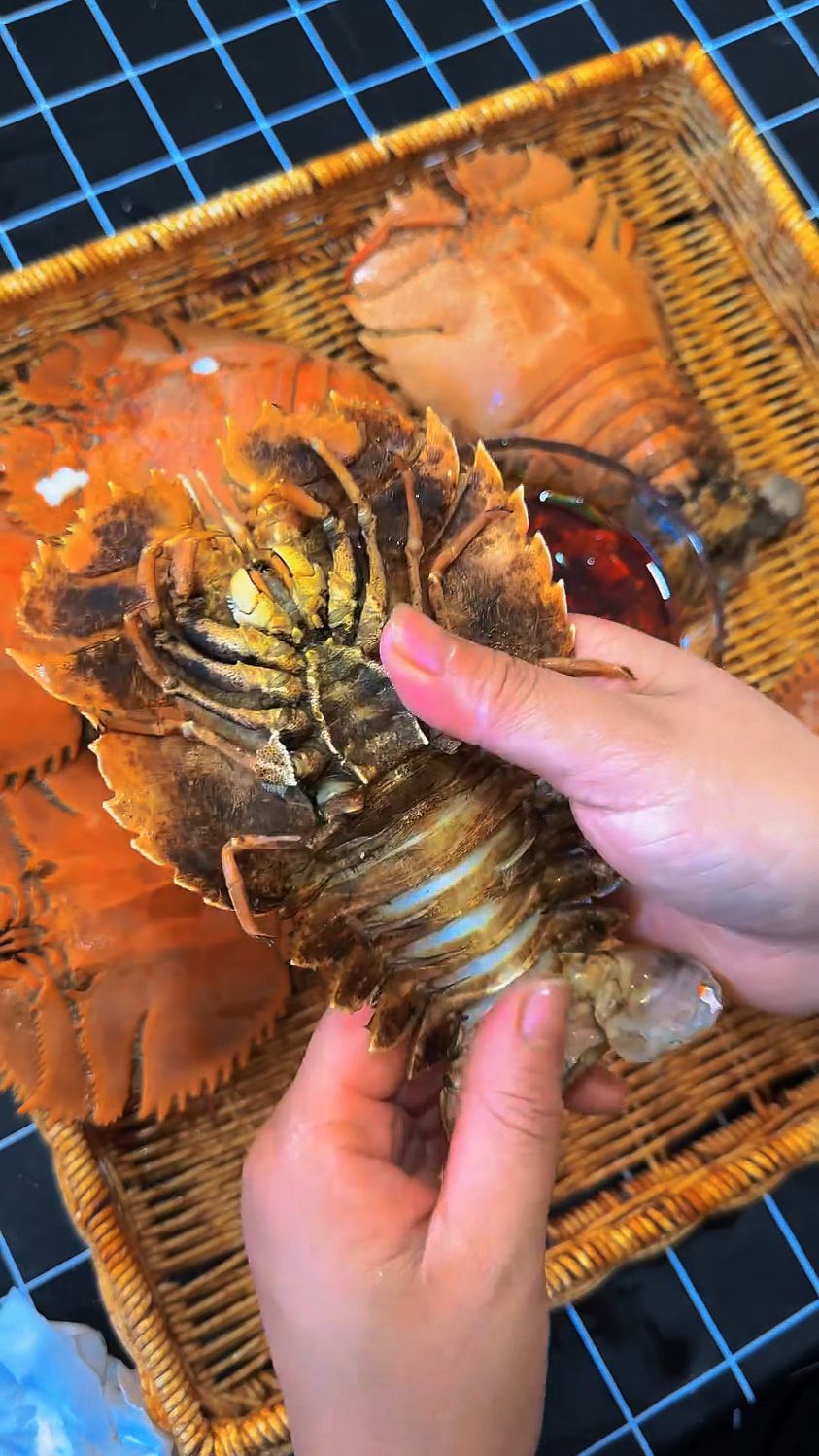 教你如何吃琵琶虾