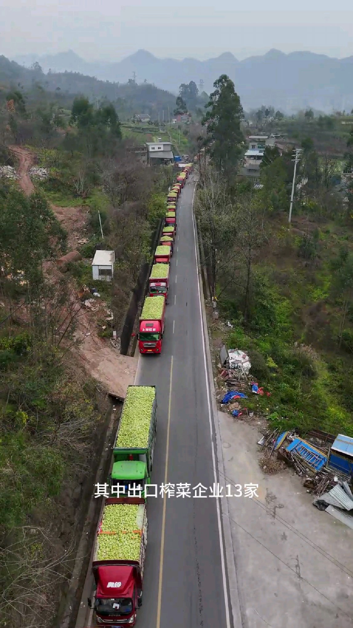 涪陵榨菜大丰收,大型运输车队场面壮观,涪陵乌江榨菜香飘世界。