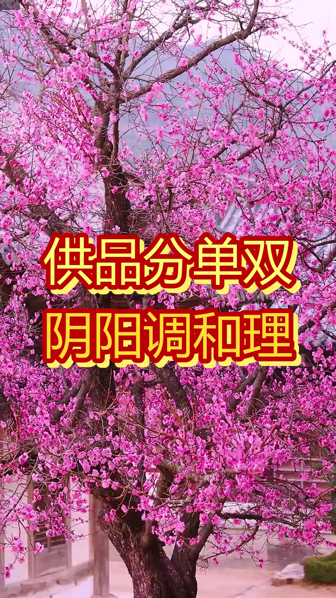 清明祭祖 贡品摆放分单双