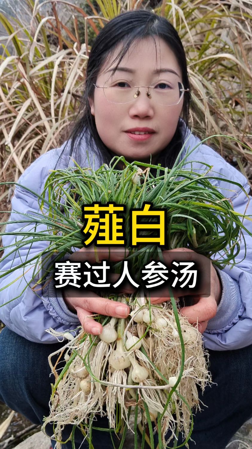 一碗薤白粥,赛过人参汤,原来薤白就是我们野地上找的小根蒜!