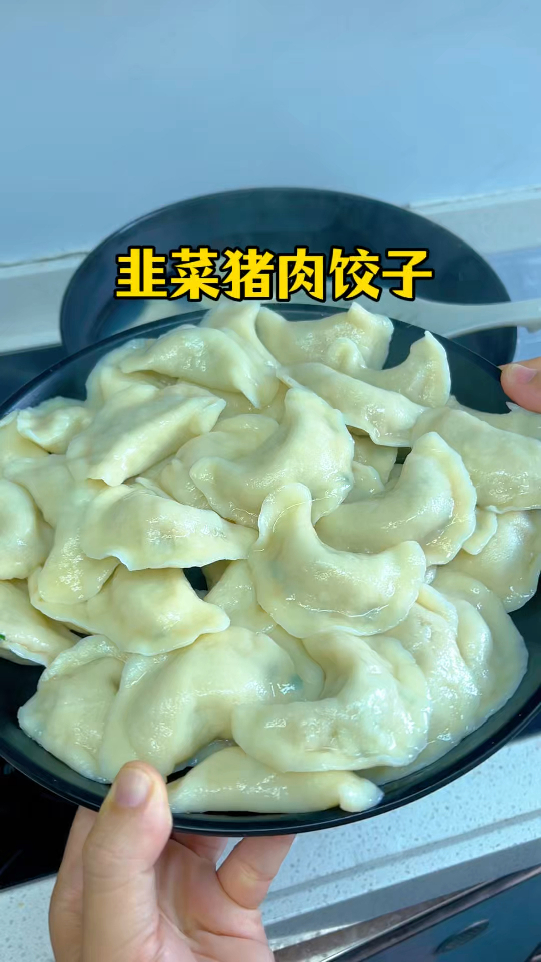 韭菜猪肉饺子，这样调馅太香了，鲜嫩多汁一口一个好吃到停不下来