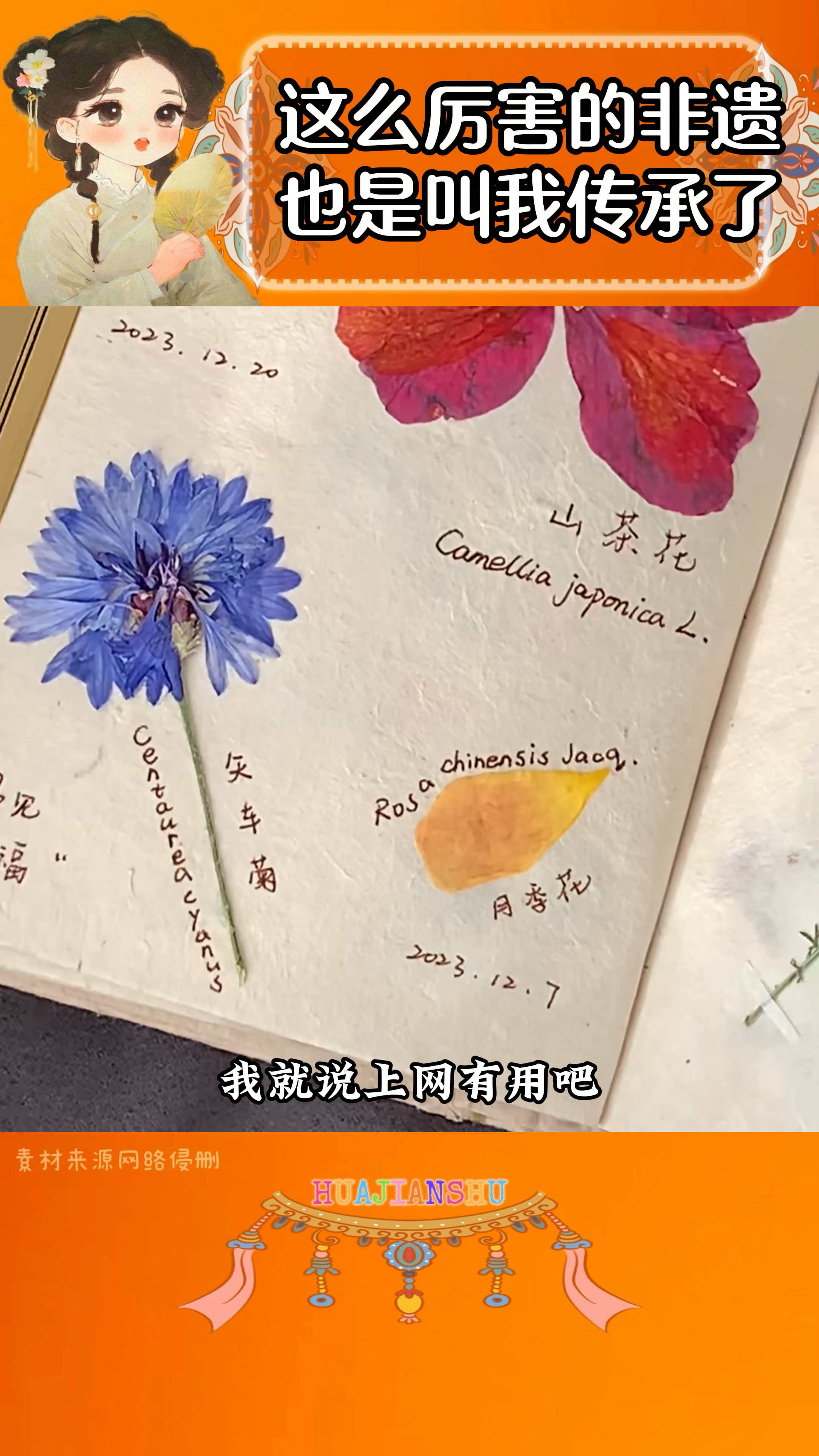 我就说上网有用吧?这么厉害的非遗压花也是叫我传承上了