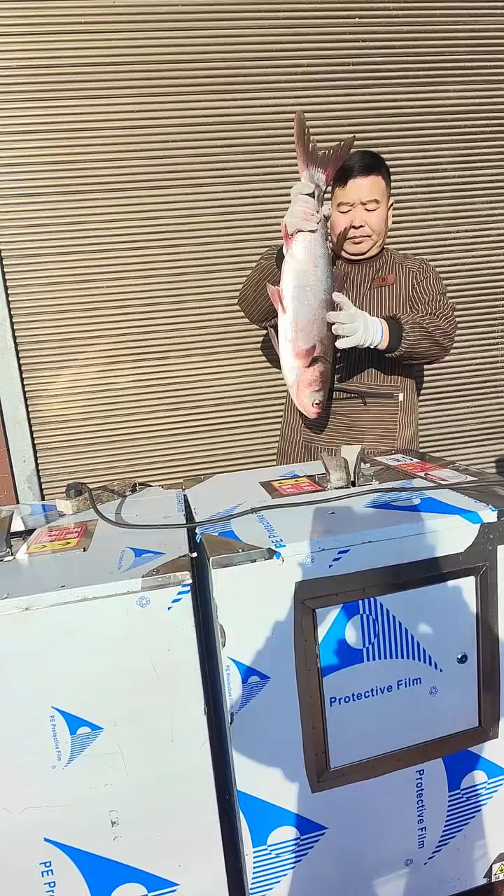 自动杀鱼机,去鳞开背一体机