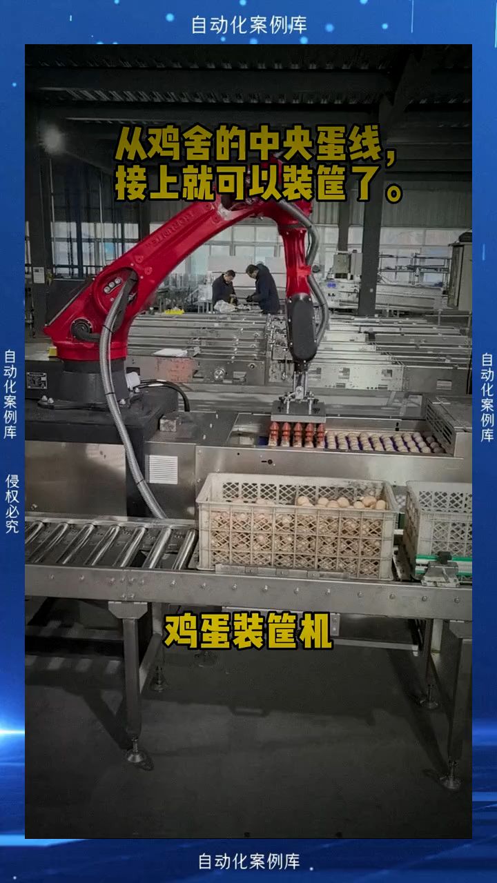 鸡蛋自动装托装箱机器人