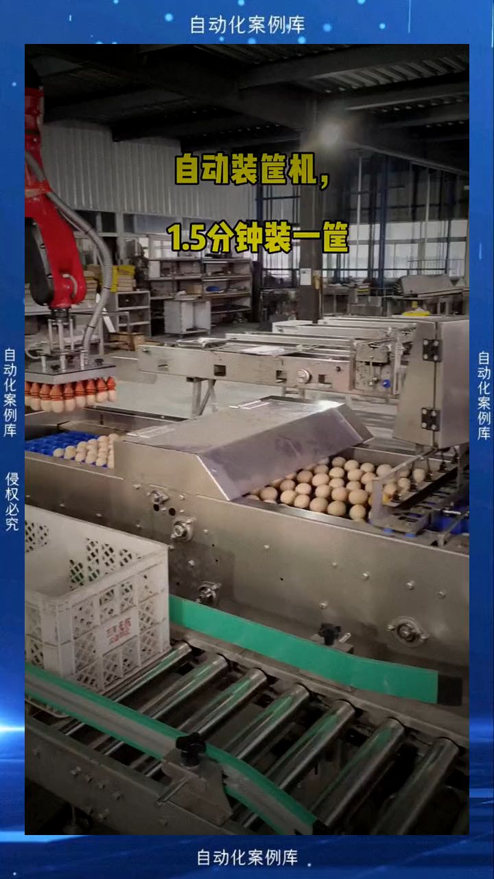 鸡蛋自动化装框机器人