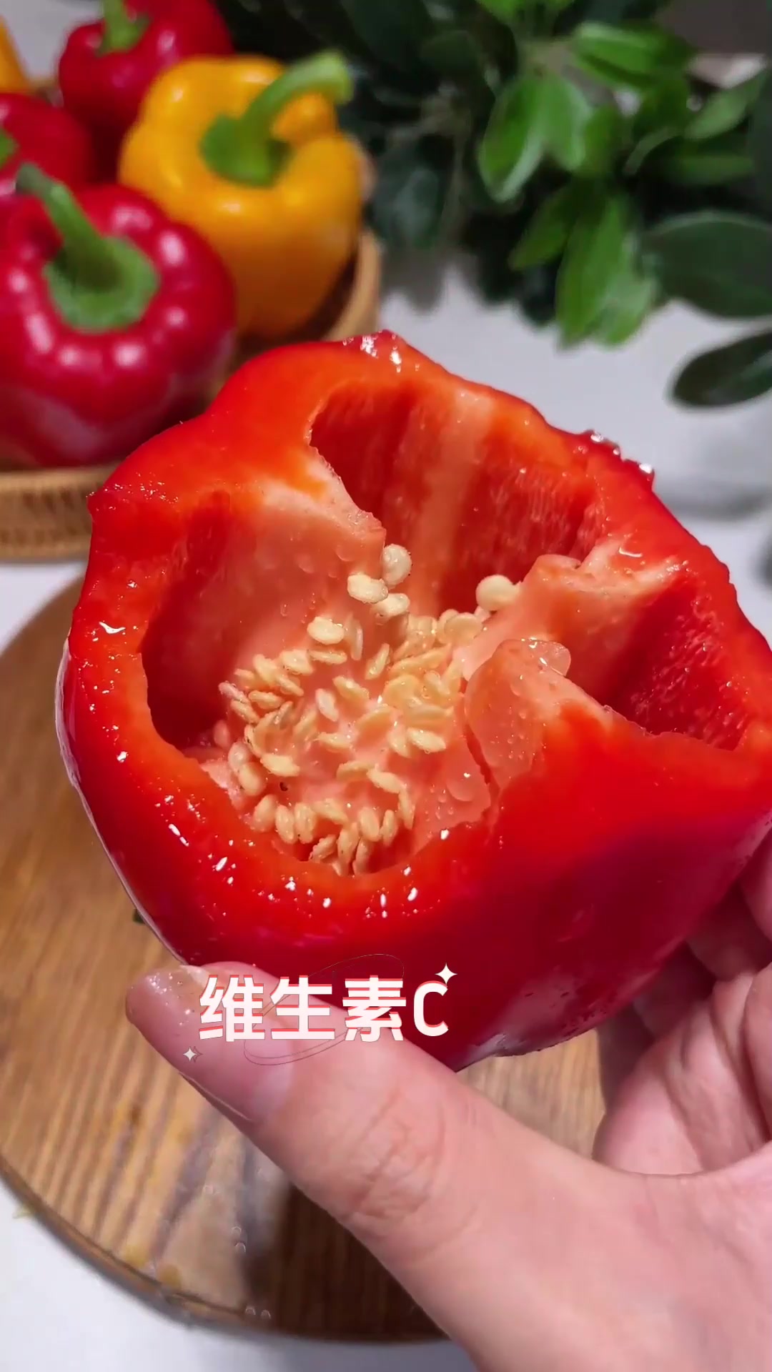 五彩甜椒果肉肥厚营养足,脆嫩爽口清甜不辣,家常炒菜好食材