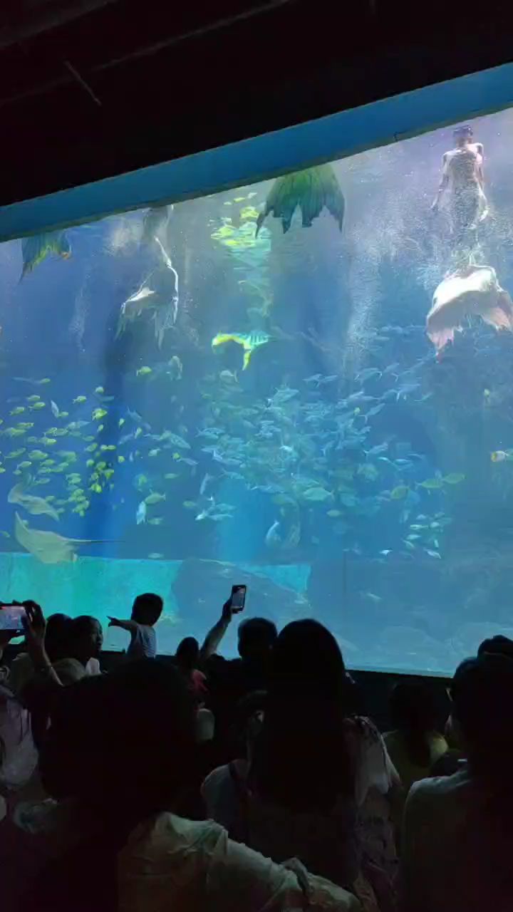海洋世界#美人鱼