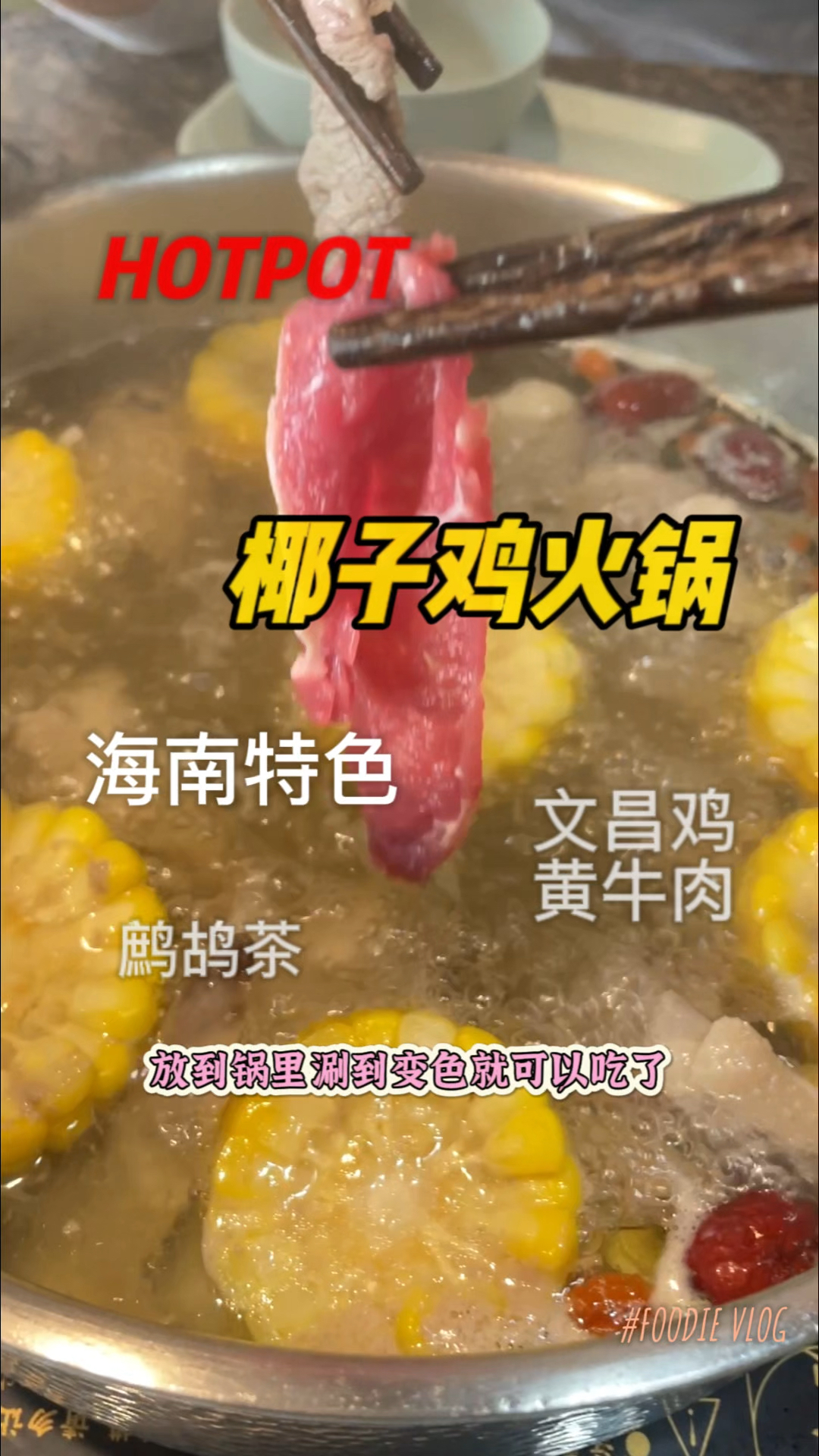 在北京吃椰子鸡火锅,文昌鸡还挺好吃的