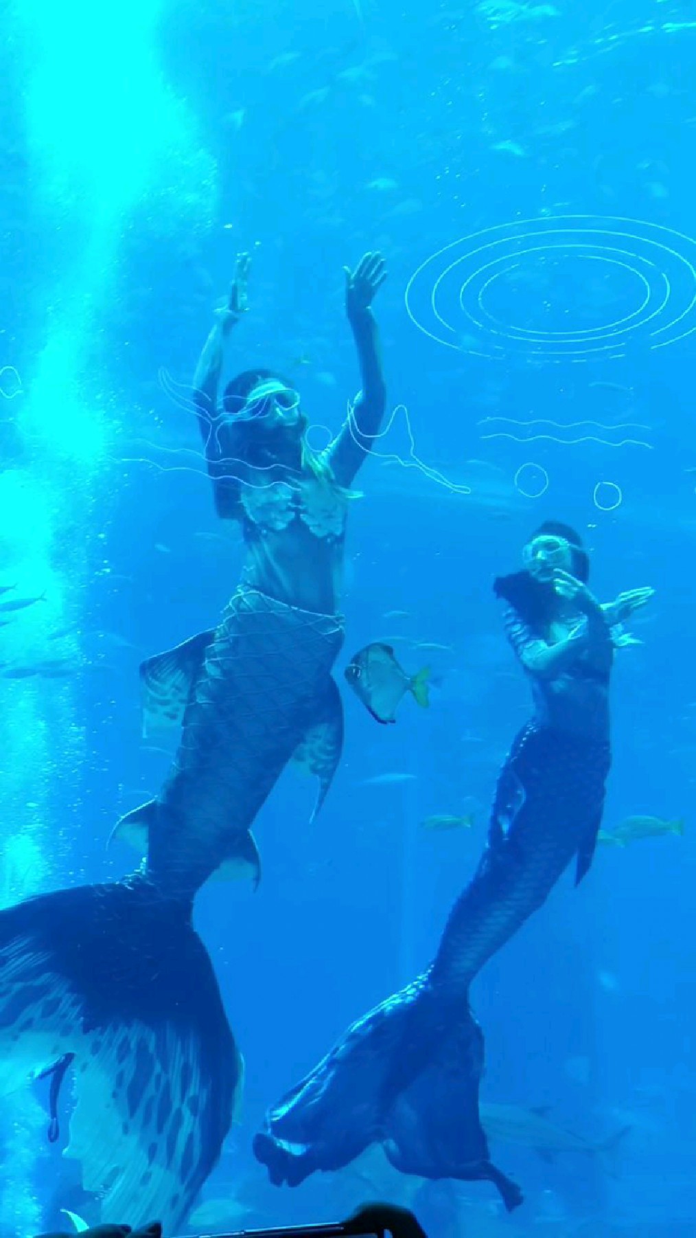 三亚亚特兰蒂斯水族馆,美人鱼表演