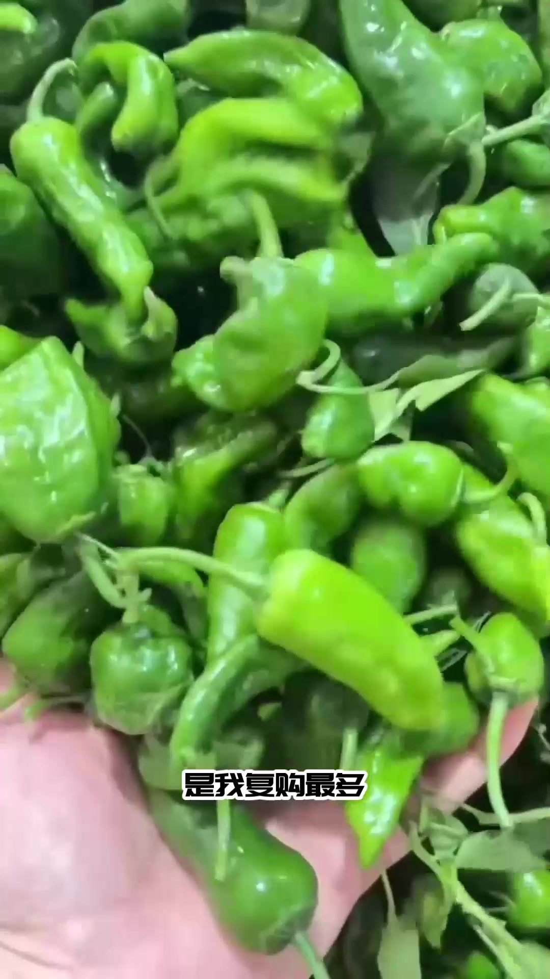 余干辣椒现摘现发，脆嫩多汁无筋，炒肉鲜香更入味