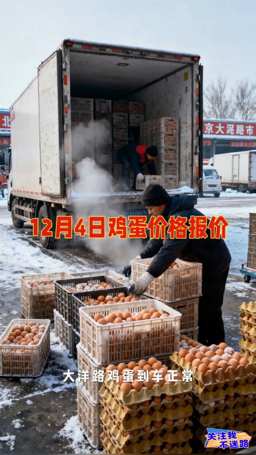 12月4日鸡蛋价格报价