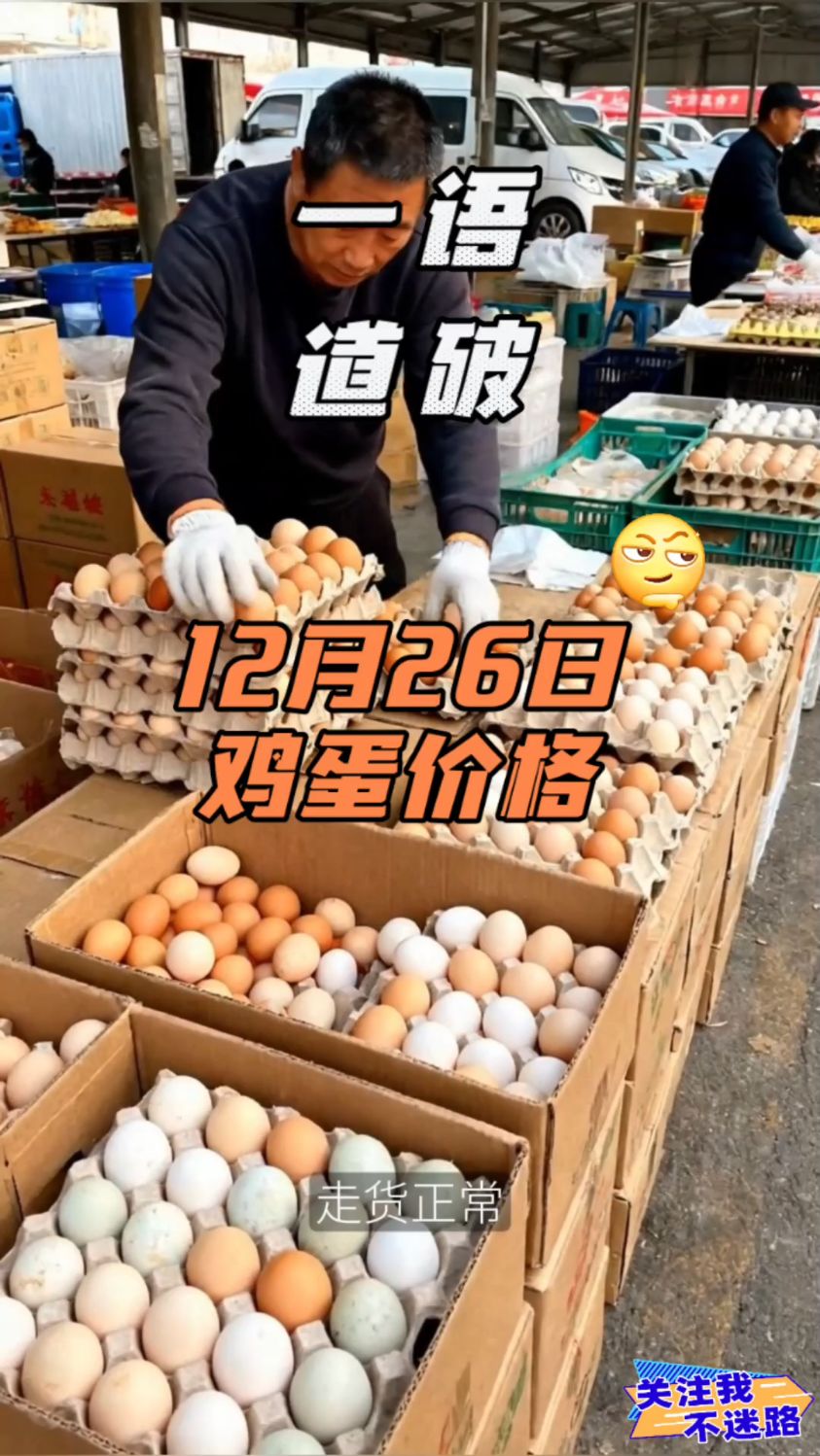 12月26日鸡蛋价格报价