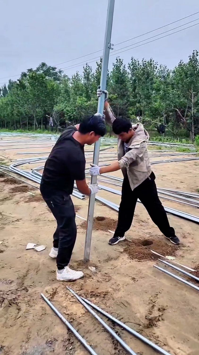 鹅苗育雏大棚安装搭建#养鹅大棚#鹅棚搭建#鹅舍#养鹅场建设
