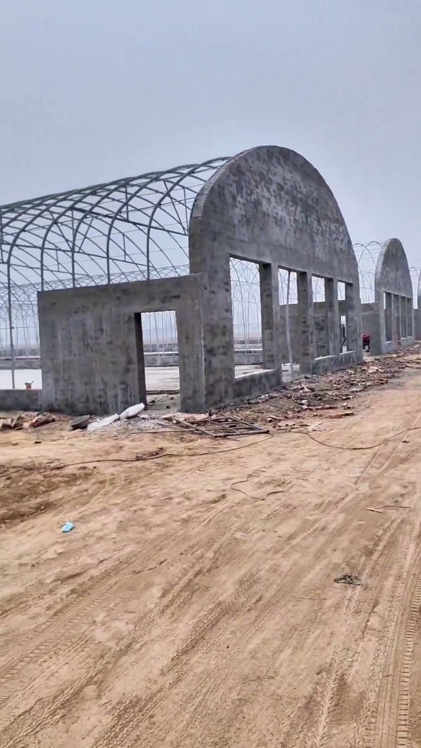 #养鸡大棚 #肉鸡养殖大棚 #肉食鸡养殖棚 #养鸡场大棚 #养殖场建设